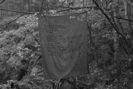 Heike Rinde